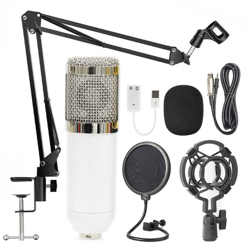 BM-800 Net Microphone Stand Set