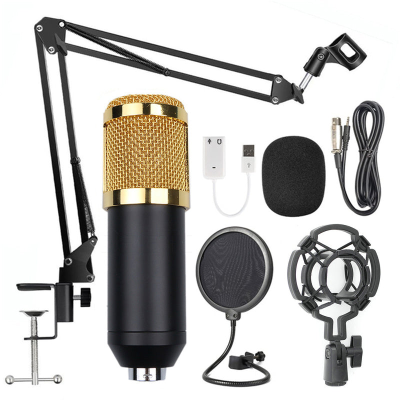 BM-800 Net Microphone Stand Set