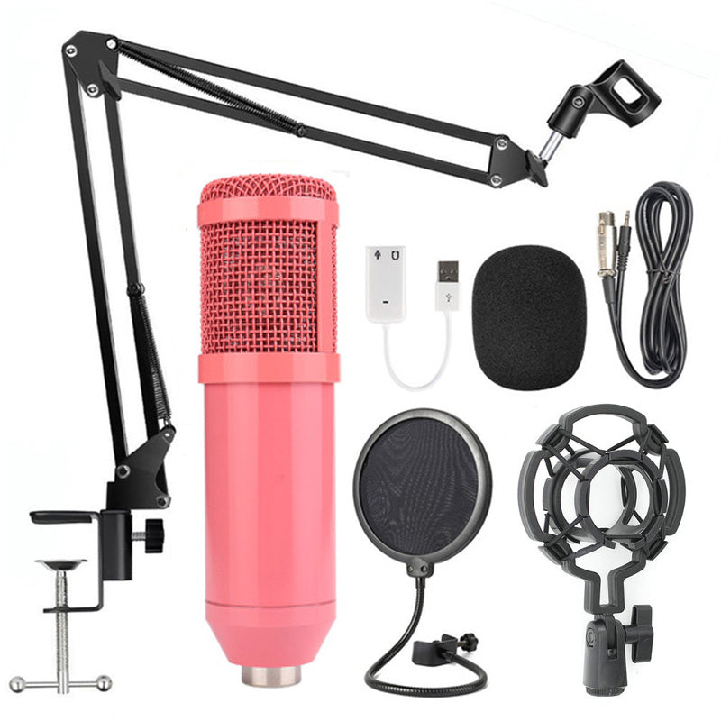 BM-800 Net Microphone Stand Set