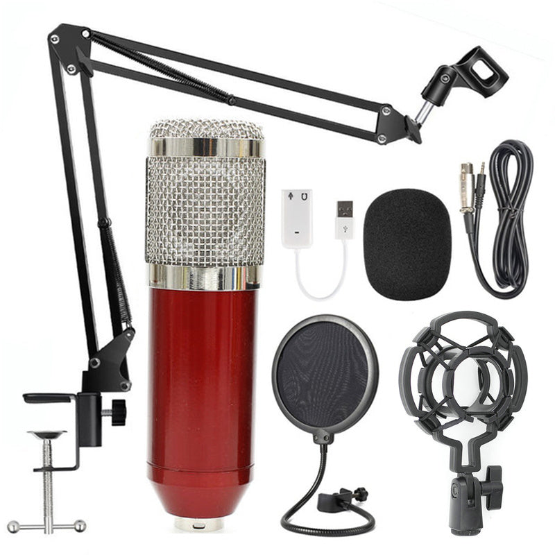 BM-800 Net Microphone Stand Set