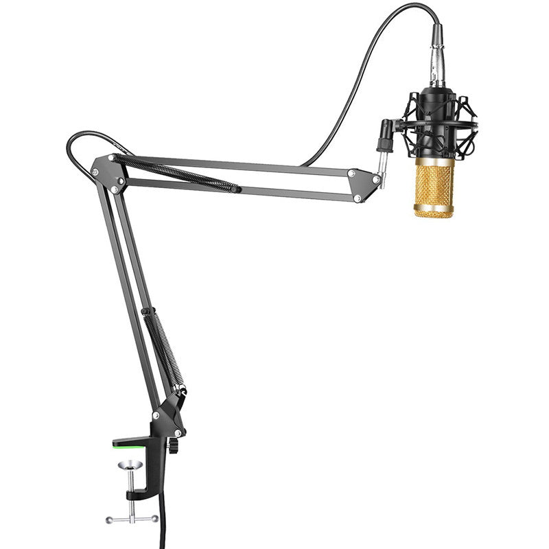 BM-800 Net Microphone Stand Set