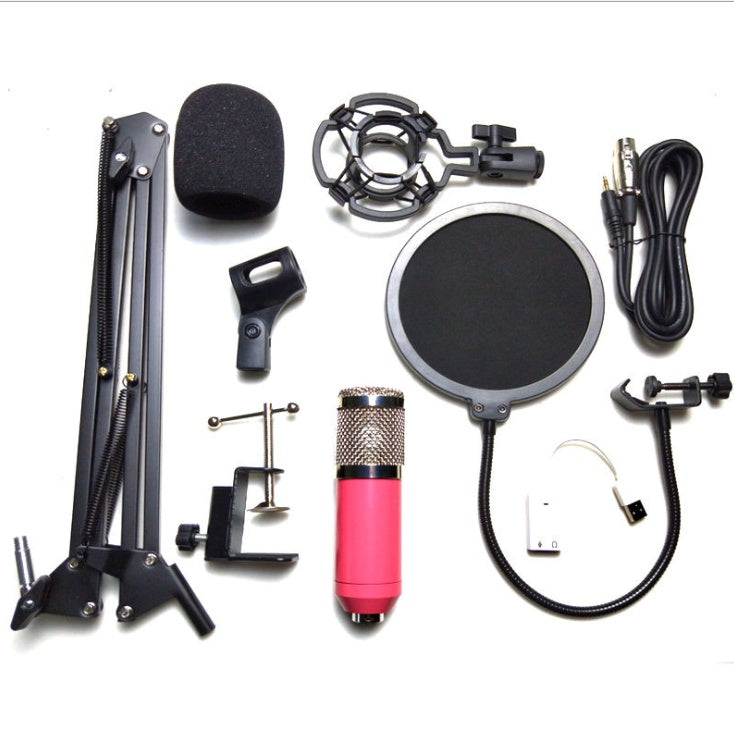 BM-800 Net Microphone Stand Set