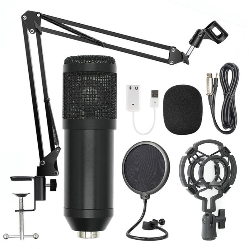 BM-800 Net Microphone Stand Set